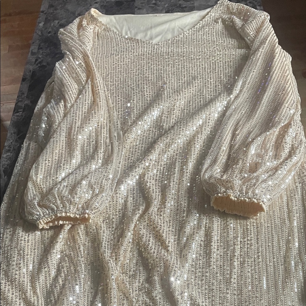 Sequin Long Sleeve Dress